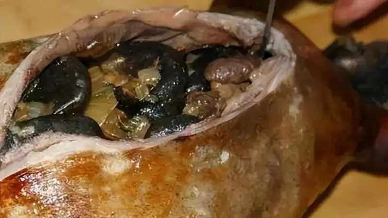 爱斯基摩人的美食腌海雀,臭到令人呕吐,为何却被当地人奉为美食