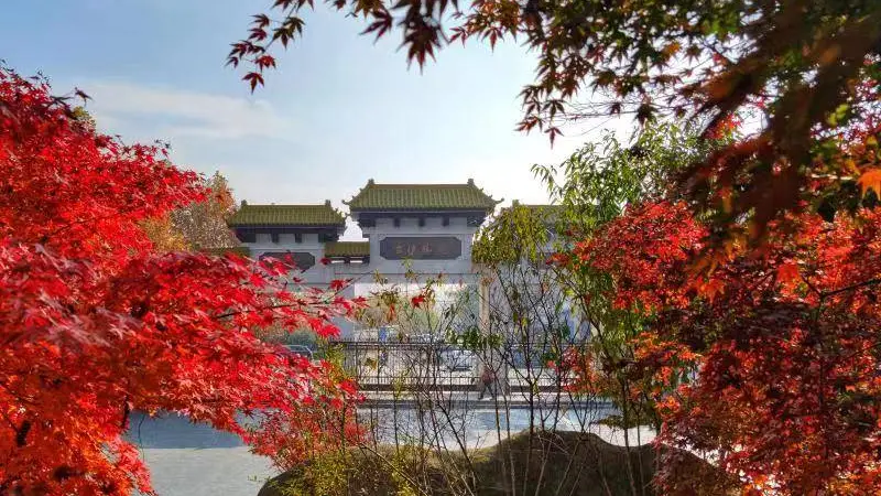 本地人私藏!连云港人自己的周末后花园,大伊山超全游玩攻略