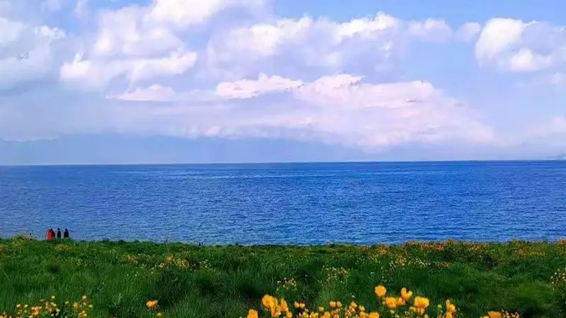 新疆伊犁深度旅游攻略：赛里木湖碧波连天，喀拉峻草原花开成海，果子沟大桥云端穿行，四季皆景