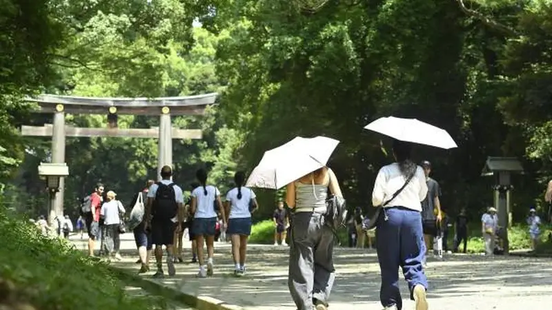 日本景点“双重票价”,为何让国际游客和本国人都怒了?