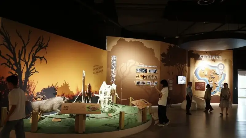 邂逅非洲野生动物!来重庆自然博物馆逛新展→