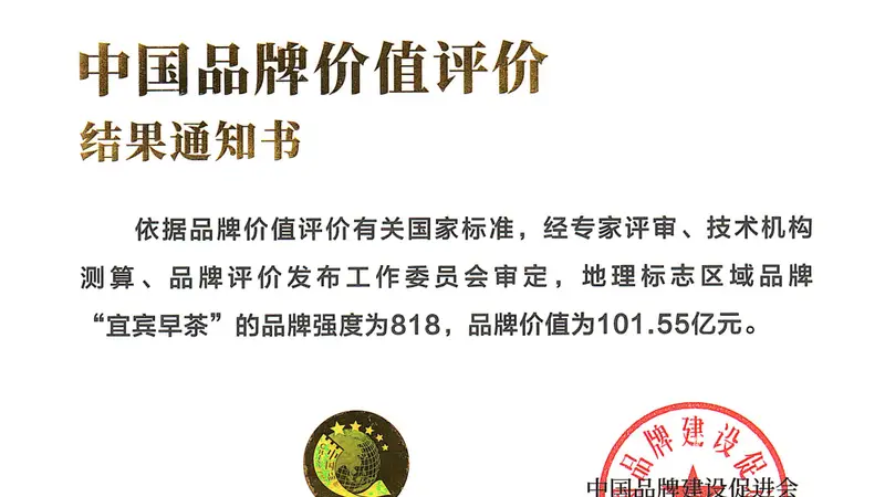 “5+2”产业 || 宜宾早茶,101.55亿!