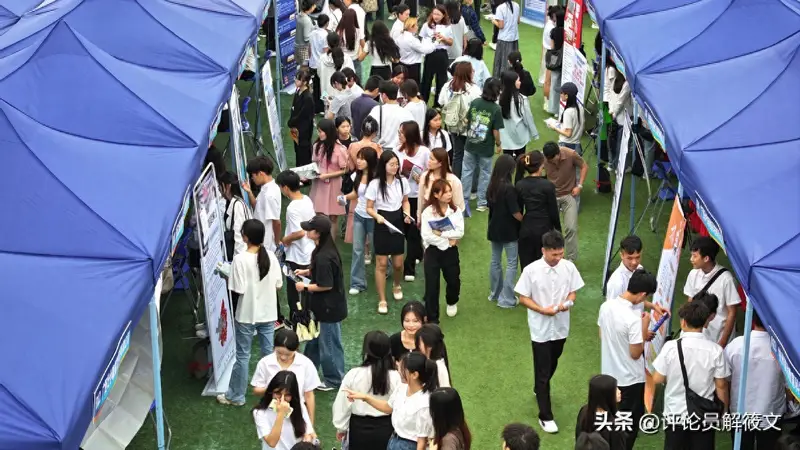 8万元买来的"大厂实习",为什么不敢写进简历?