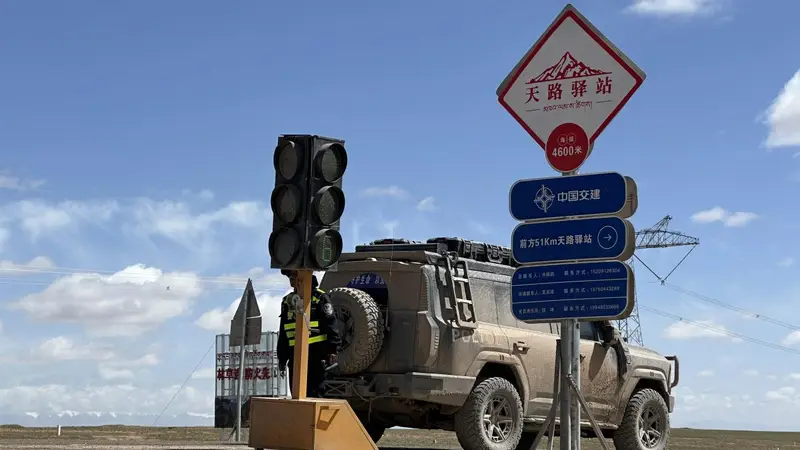 藏羚羊带娃回家啦!青藏公路开启“静音模式”