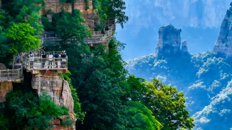 董广安:入伏天界山小住