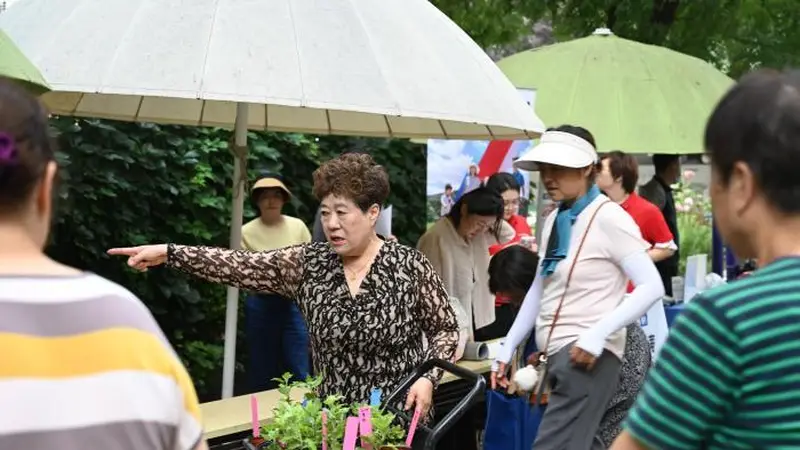 胡同里的“莫奈花园”，装下了14个民族的烟火气