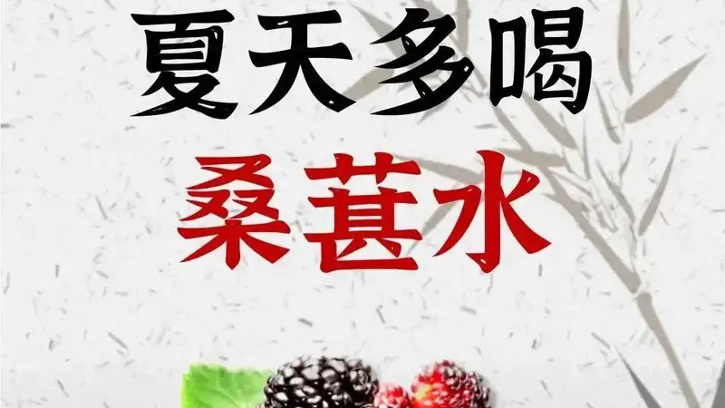 夏天多喝桑葚水，8款搭配，换着来不单调