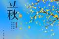 明日立秋，强烈建议中老年：晚餐就吃这3种，精神抖擞一整天