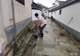 宣城旌德:古村景区焕颜迎客流 全力备战暑期旅游季