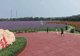 繁花盛放绘美景 满园锦绣入画来