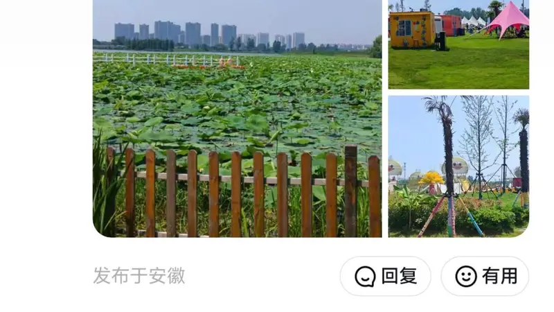 2026 官方实测：芜湖人气高的露营地真相大揭秘
