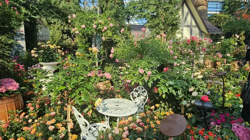 大型活动期间城市导览：游客点赞背后，节奏失控的隐忧