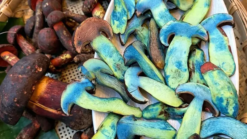 丽江古城特色美食推荐：避开景区预制菜坑，地道滇味挑选全指南