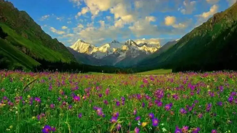 伊犁河谷全域详细旅游攻略:四季风景各异,春花秋叶冬雪夏草,深度自驾与徒步路线及食宿指南