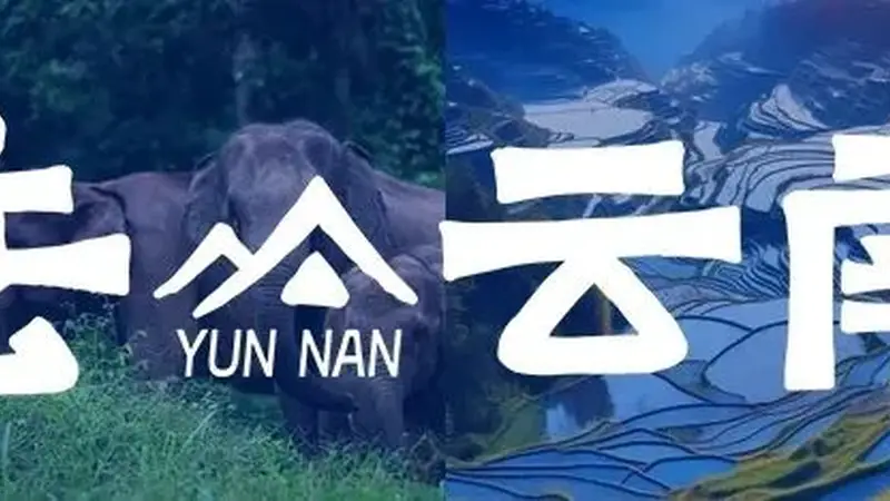 有一种叫云南的生活丨7月,去云南