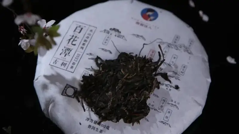 南茗佳人|新茶和老茶该怎么选?