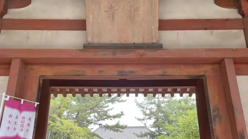 唐招提寺的莲 | 陆春祥