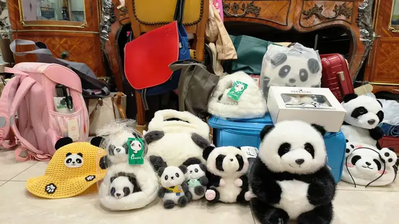 到大陆旅游很危险?看熊猫、吃火锅 一对台湾母女在四川打破“信息茧房”