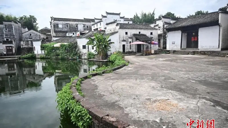 海外华文媒体参访中国最大诸葛亮后裔聚居地