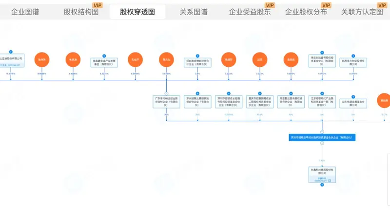 独家丨比亚迪李云飞:王传福个人没有直接投资长鑫科技