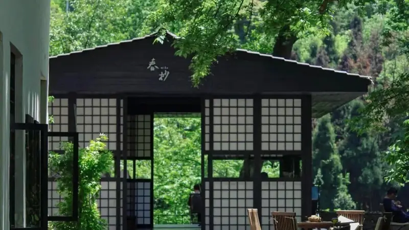 夏日都江堰｜山水作伴，喝茶纳凉