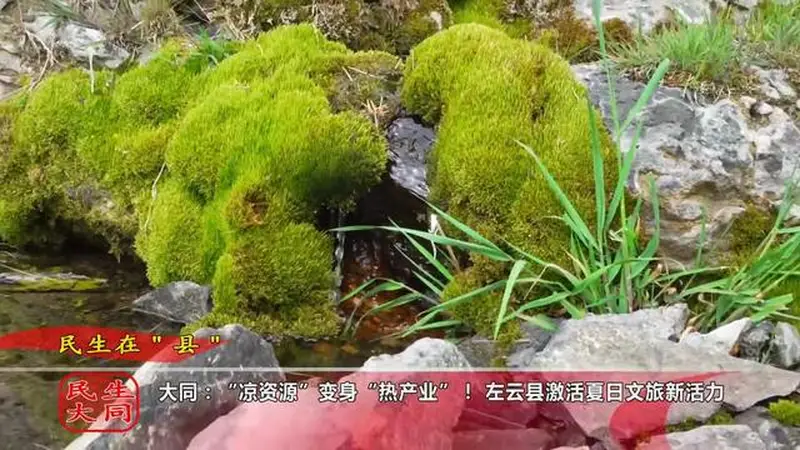 大同：“凉资源”变身“热产业”！左云县激活夏日文旅新活力