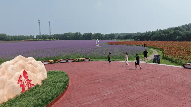 繁花盛放绘美景 满园锦绣入画来