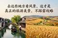 去这些地方看风景，这才是真正的旅游美景，不踩雷攻略