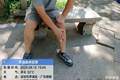 深圳梧桐山野猪种群数量呈增长态势 景区紧急提醒……