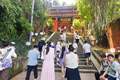 每天投放近5000斤！乐山大佛景区太“宠”游客了