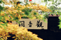立秋 | 浅秋送清宁
