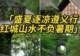 遵义3天2晚避暑攻略!23℃的夏天藏不住了