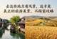 去这些地方看风景,这才是真正的旅游美景,不踩雷攻略