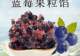 如何挑选适配爆浆蓝莓蛋挞制作的蓝莓果肉馅