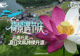 世界花园 七彩云南|荷景遇节庆 云南丘北夏日文旅持续升温