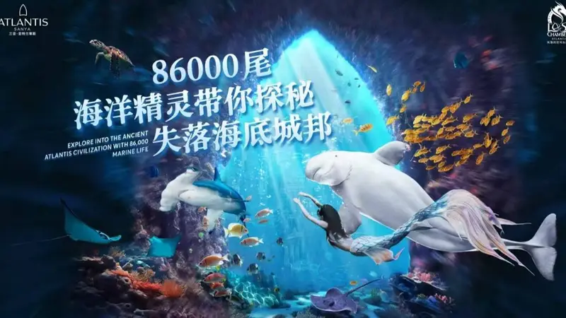 司机问我走高速还是国道我说哪条好看走哪条