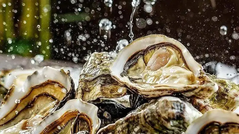 日照海鲜店,走访 5 家景区排挡,海鲜选购攻略,客观口碑测评分享