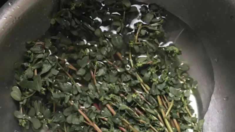 夏天就馋这口清淡的!美味营养双在线,顺带安抚小肚腩
