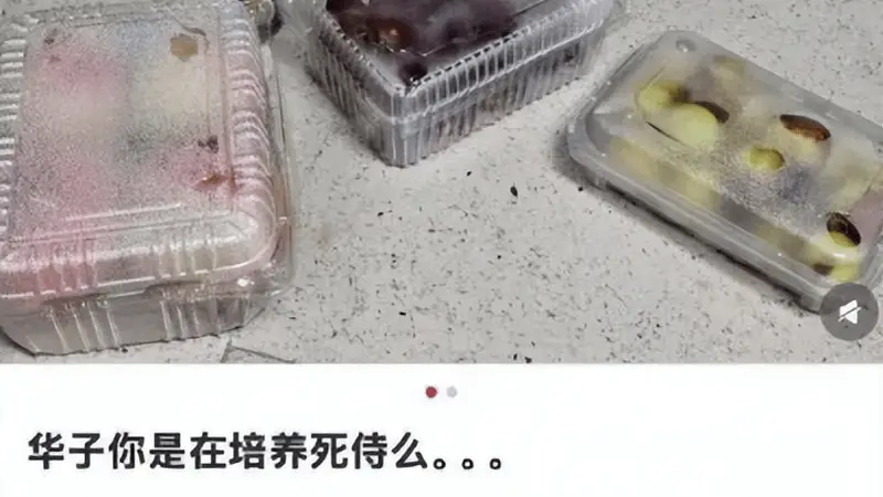 实习生薪资万元起步,华为字节抢人太狠!苦逼车企差多少?