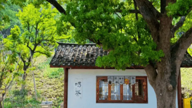 临平超山后山慢行，山野竹林避开主景区人群