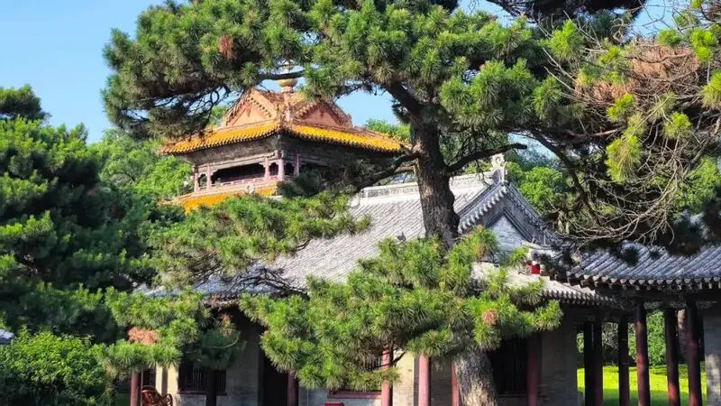 暑期旅游攻略:沈阳避暑游3天2晚清凉出行全指南