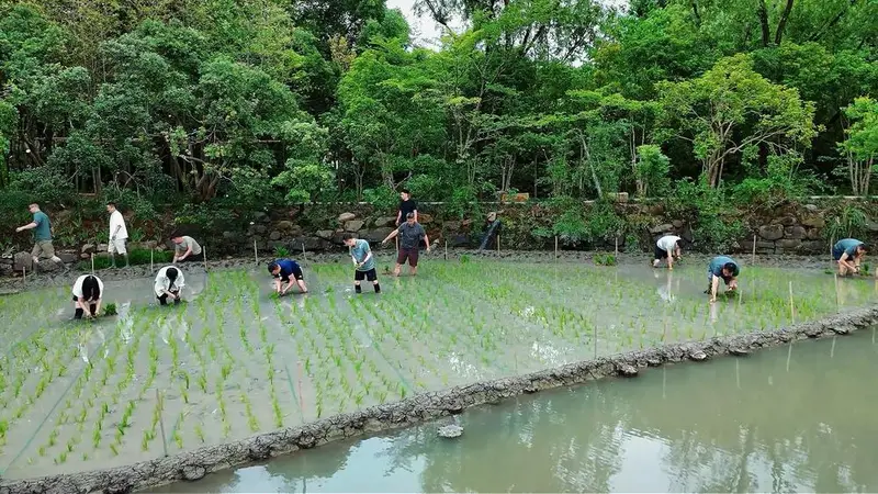 阿里管理层团建插秧,周靖人传离职后现身