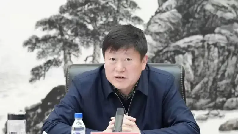 打虎!贺志亮被查