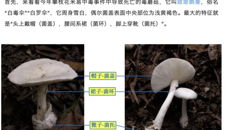 郑州一火锅店菜单现剧毒“白杆杆”?店家称正规渠道采购,当地市监未接到相关投诉