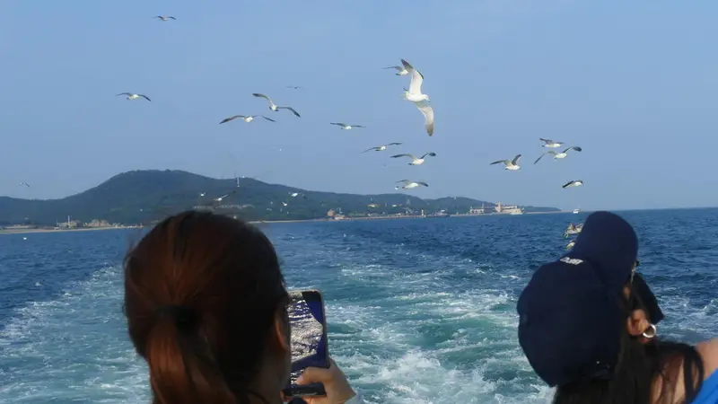 文旅观察|暑期滨海游明显升温,市场供给丰富游客仍可“捡漏”
