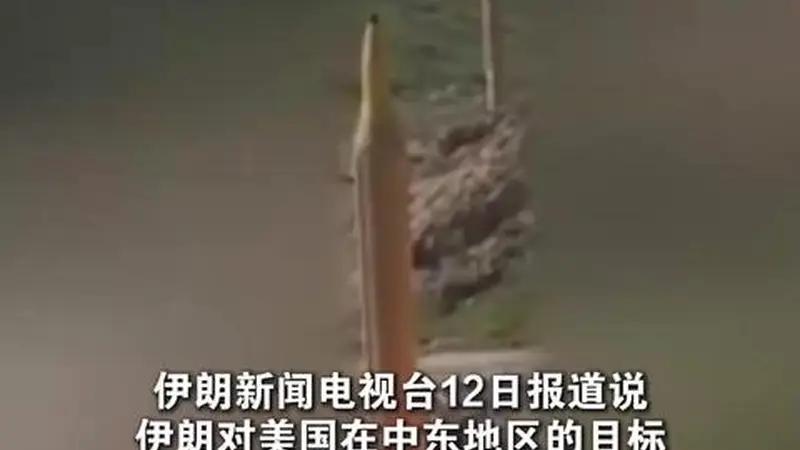 伊媒:伊朗打击美在中东目标 回应美军袭击