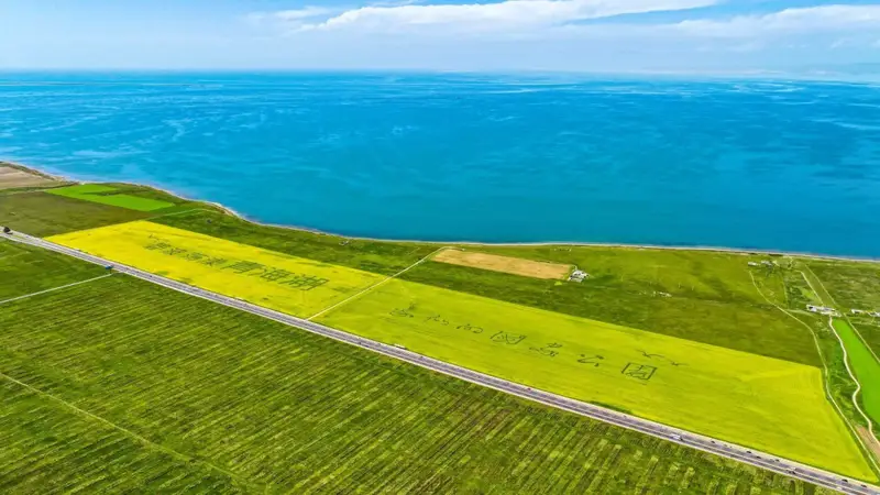 【文旅资讯】青海湖景区单日接待游客量突破2万人次