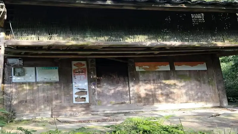 大学生写家史︱黔岭余声：两代人的理想与归平