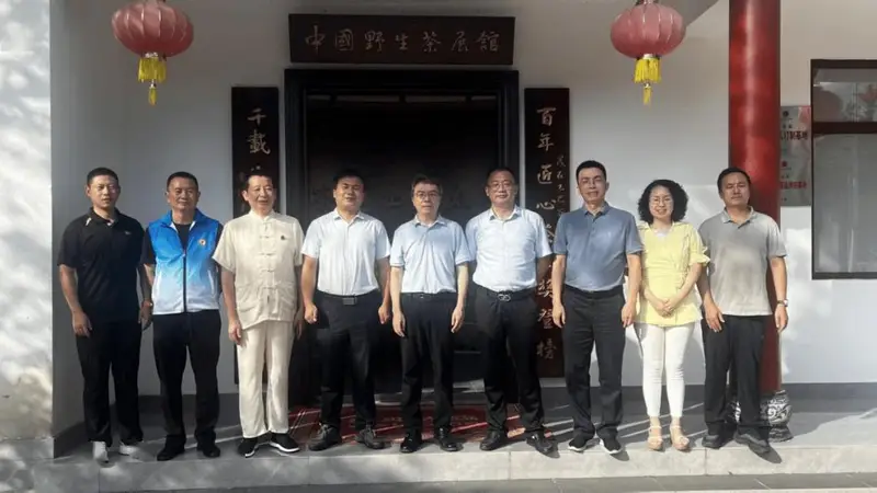 【会员动态】江西省市县文联专家组实地把脉,武宁太阳红野生茶迎来文化赋能新机遇
