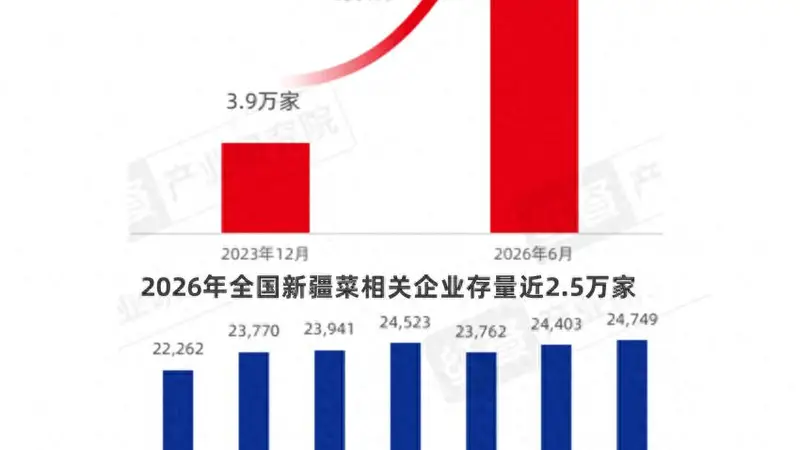新疆菜火了!4.5万家门店背后的增长密码